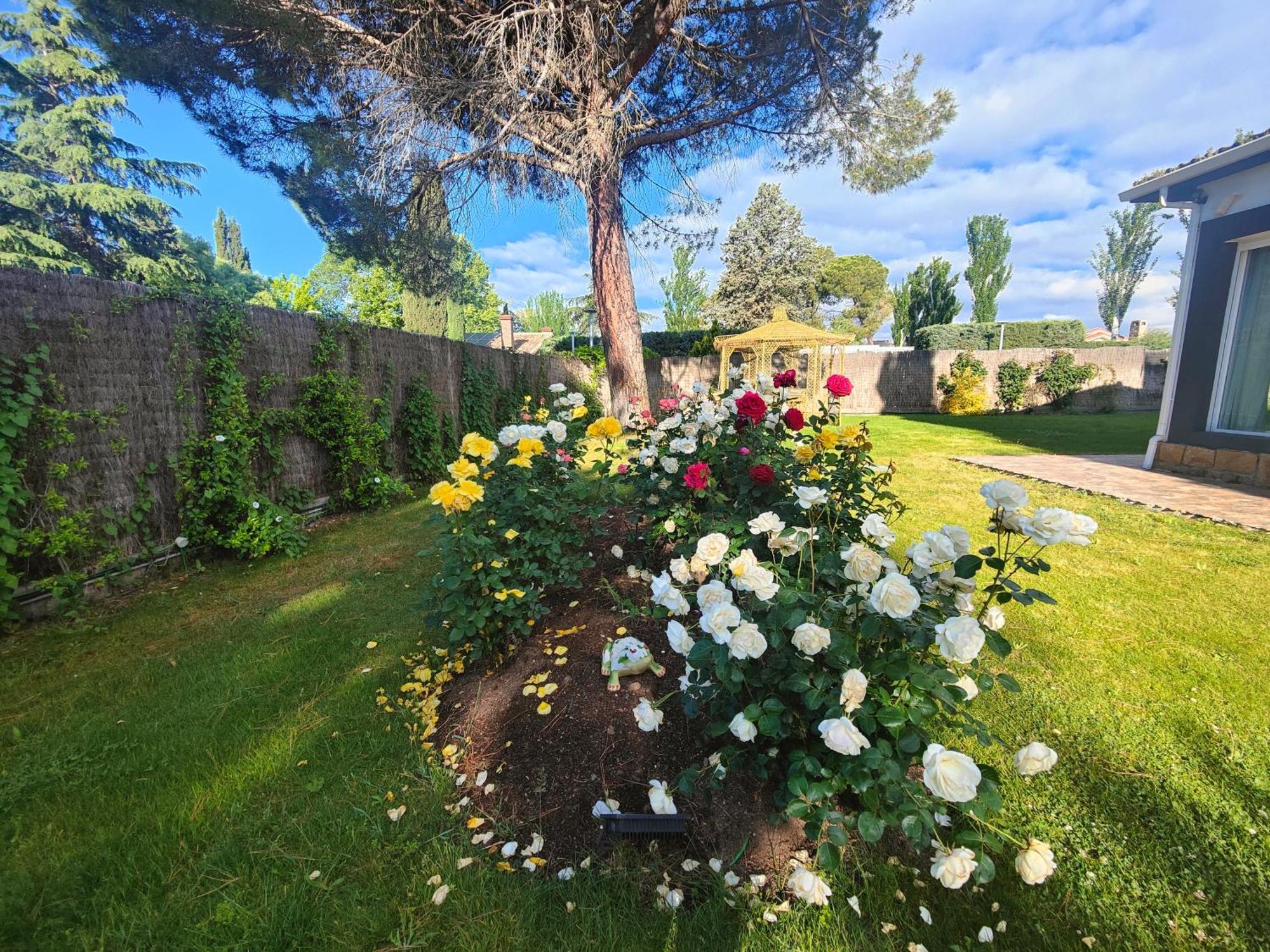 Chalet Con Piscina Y Jacuzzi En Madrid Alquila Habitaciones Algete Exterior foto
